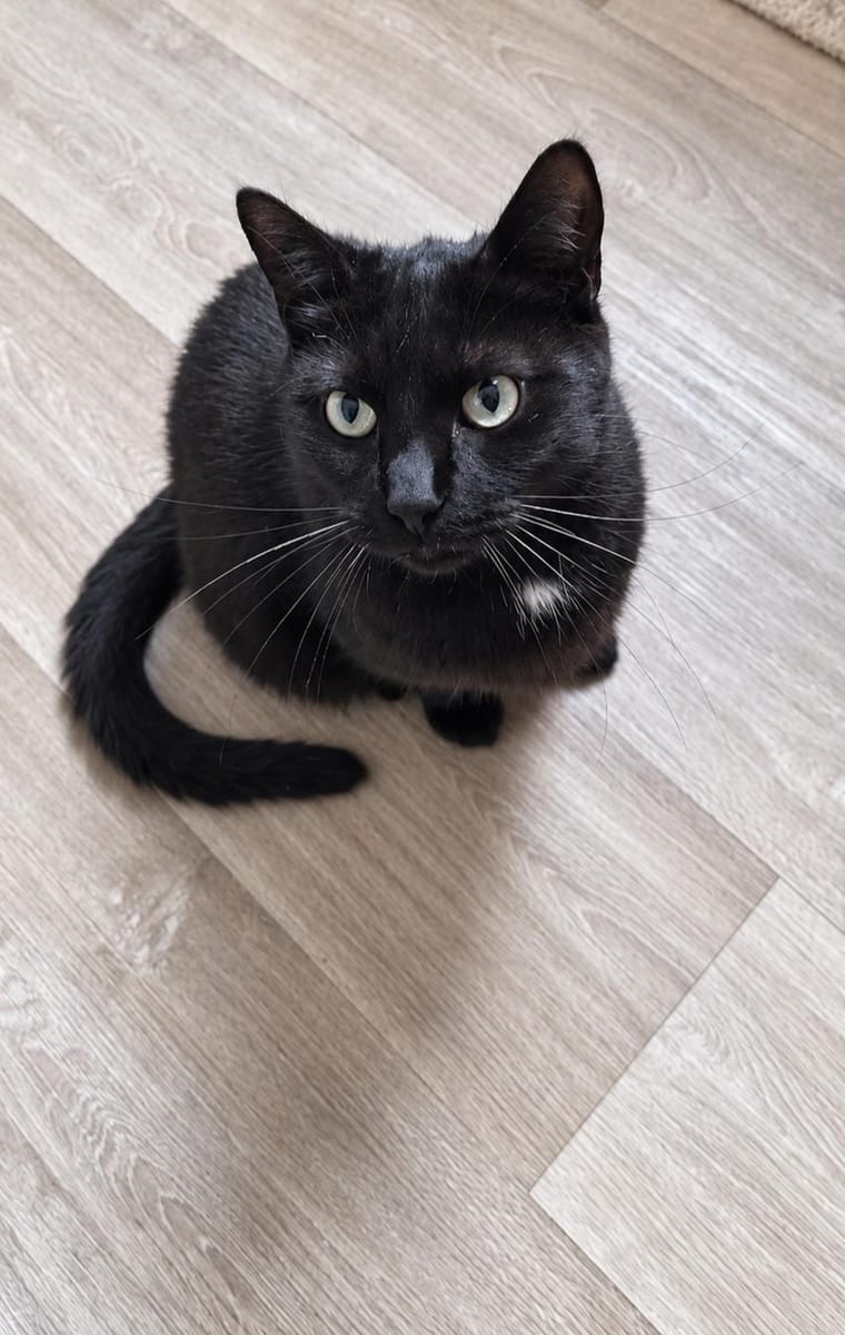 Lucifer 