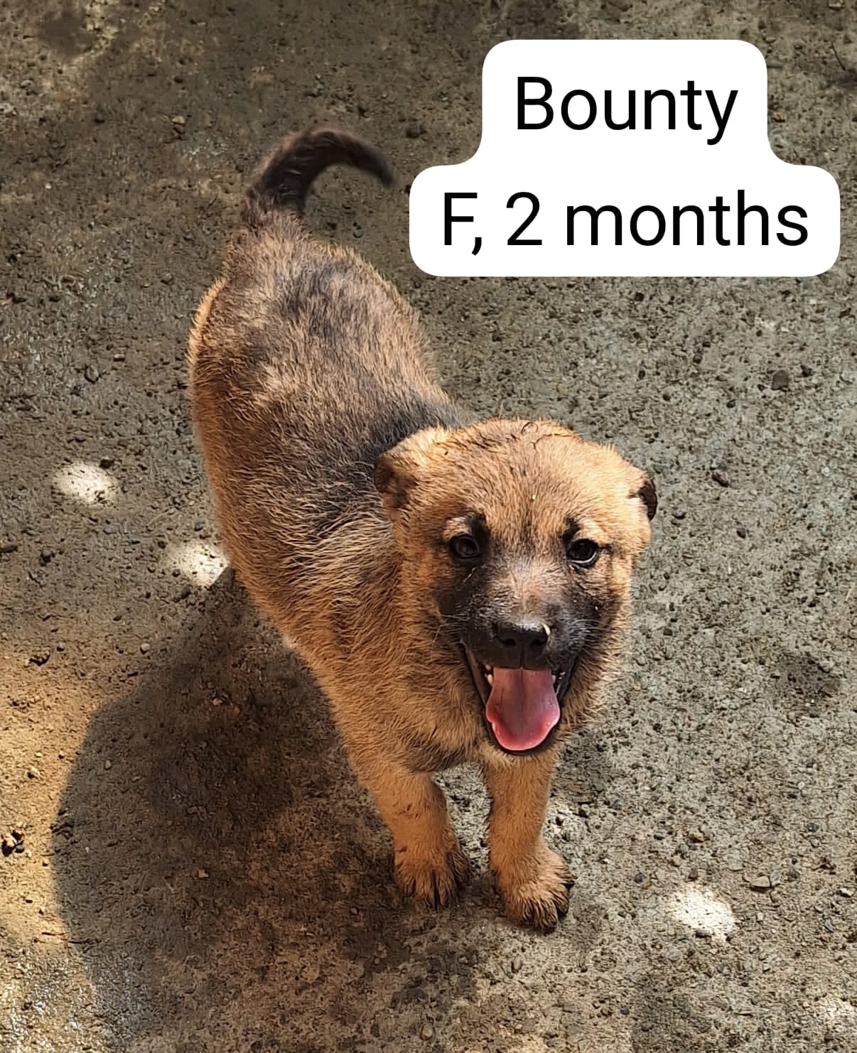 BOUNTY