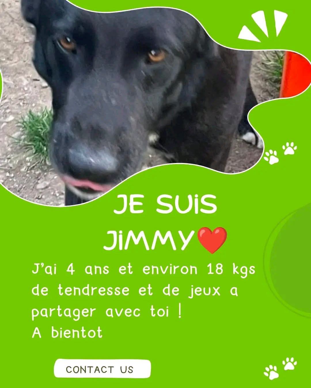 JIMMY