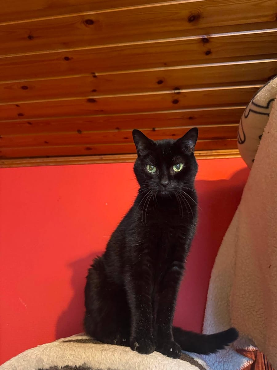 Poupouce