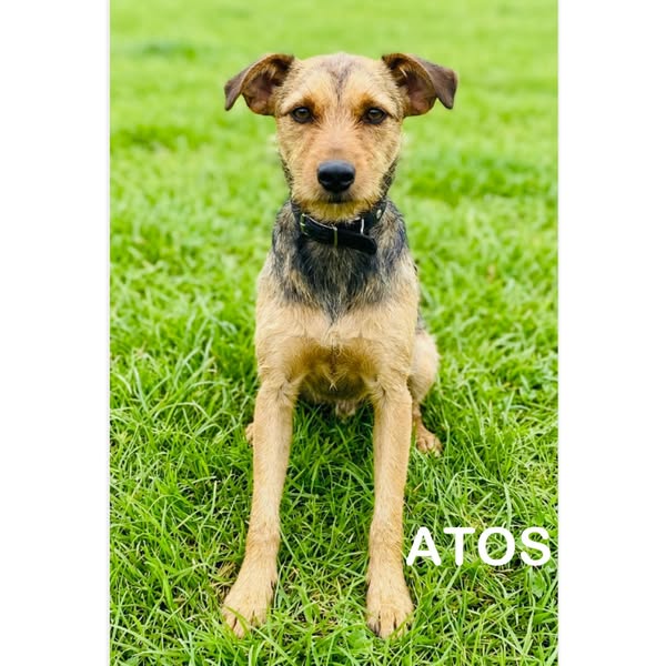 Atos
