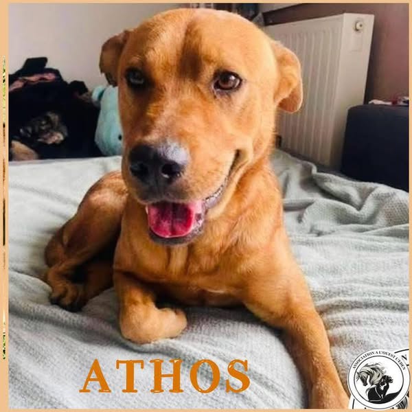 Atos