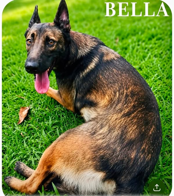 Bella