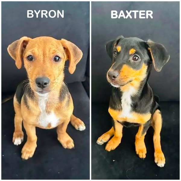 Byron