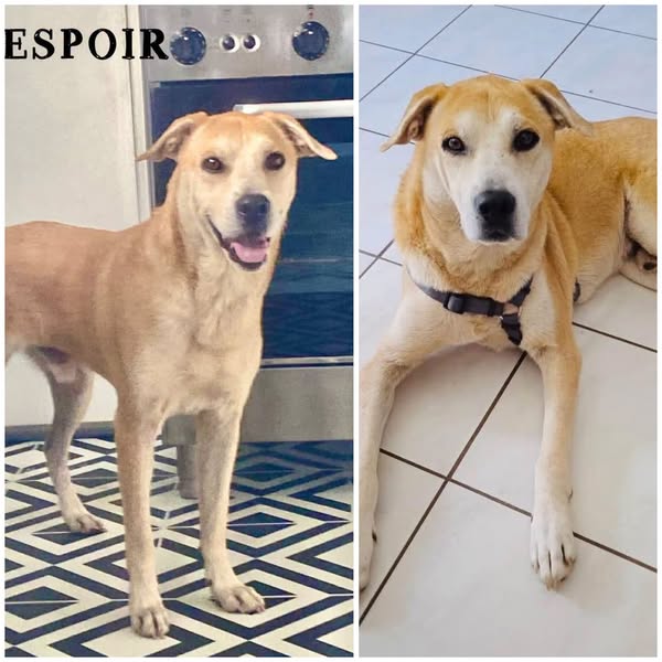 Espoir