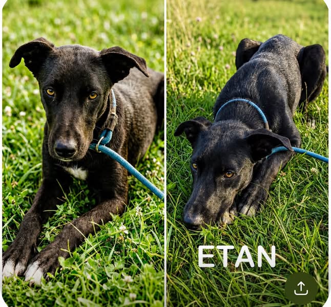 Etan