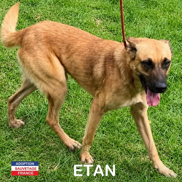 Etan