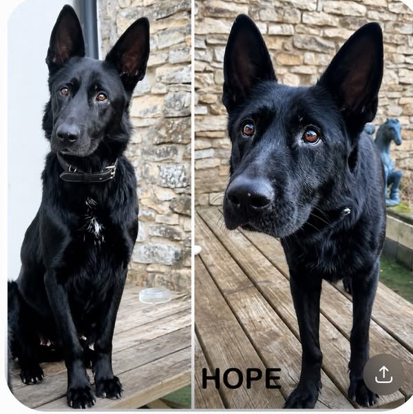 Hope