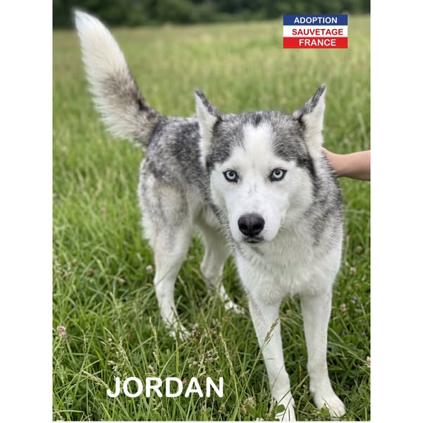 Jordan