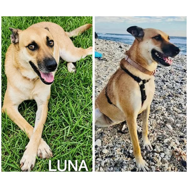 Luna