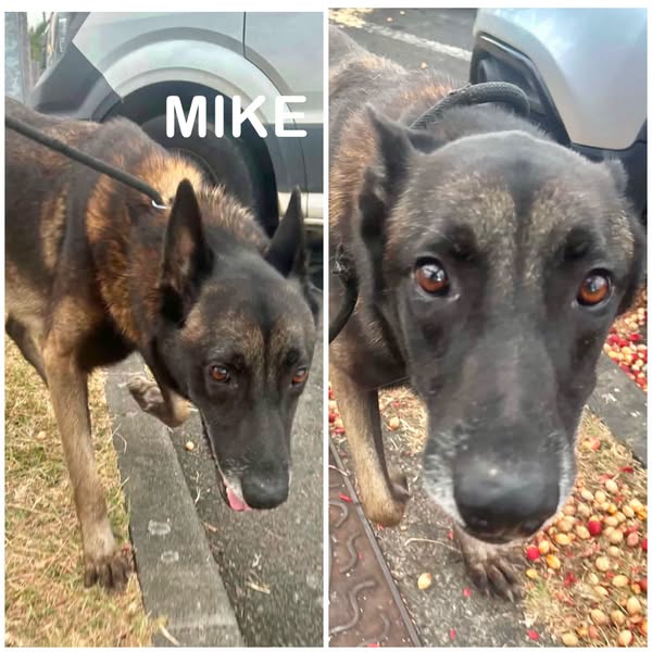 Mike