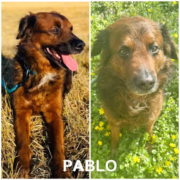 Pablo