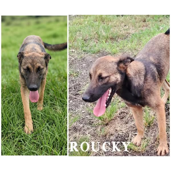 Roucky