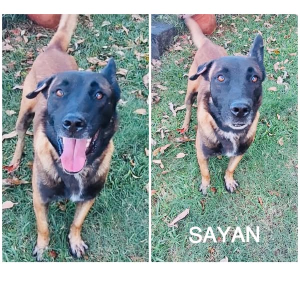 Sayan