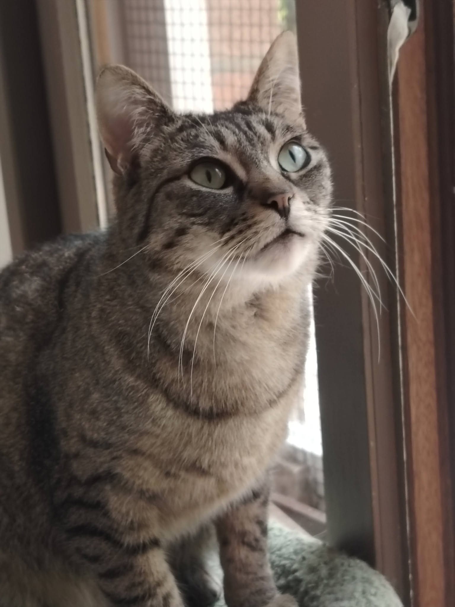 Pénélope