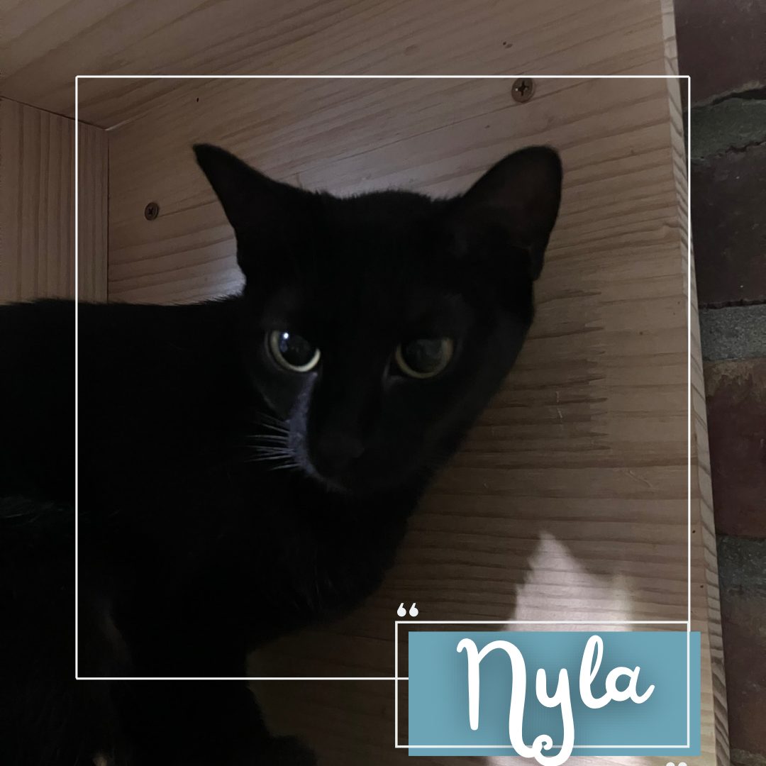 Nyla