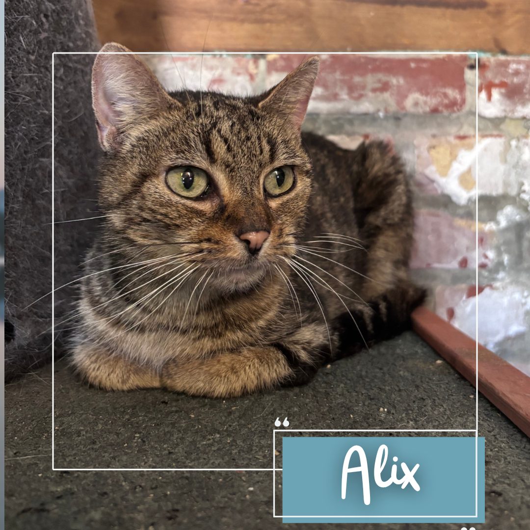 Alix