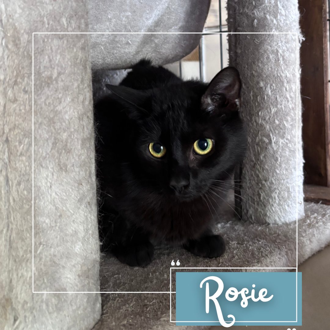 Rosie