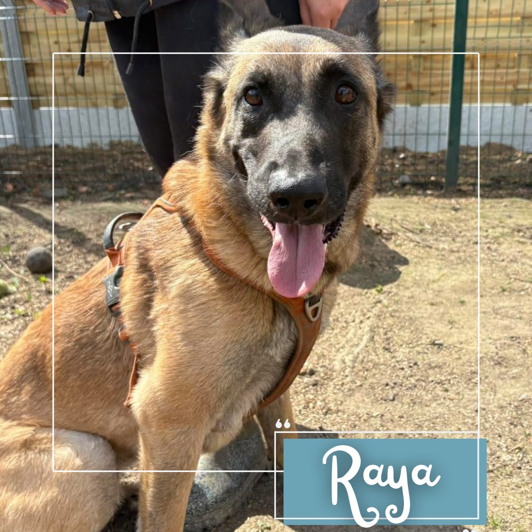Raya
